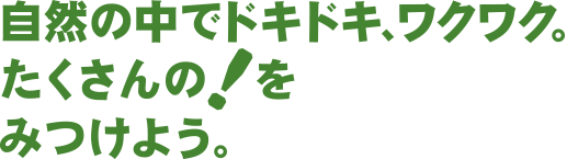 自然の中でドキドキ、ワクワク、。たくさんの!を見つけよう。
